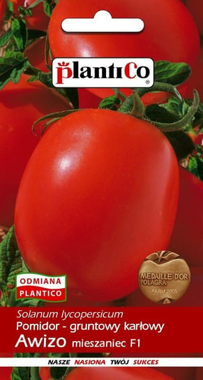 Pomidor gruntowy Awizo mieszaniec 10 g Plantico Inna marka