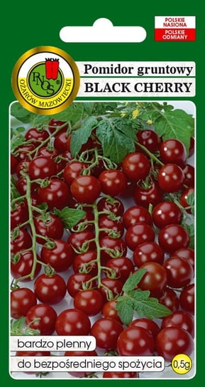 Pomidor Gruntowy Black Cherry 0.5 g  PNOS Inna marka