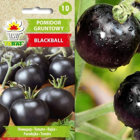 Pomidor  gruntowy BLACKBALL (czarne owoce)          NEW                   
Solanum lycopersicum L. Toraf