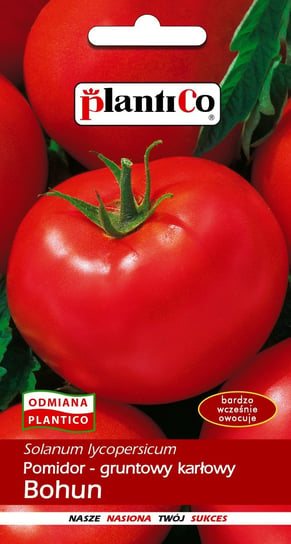 Pomidor Gruntowy Bohun 1g PlantiCo PlantiCo