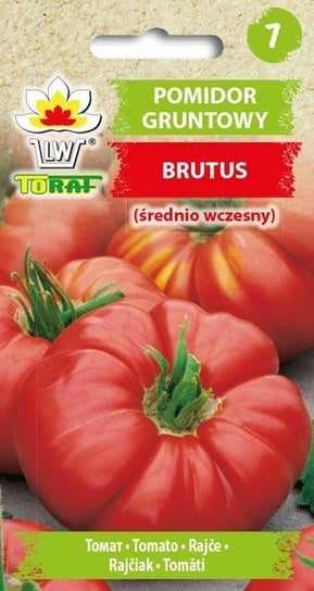Pomidor  gruntowy BRUTUS (duże owoce)
Solanum lycopersicum L. Toraf