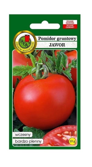 Pomidor gruntowy Jawor 10 g PNOS Inna marka
