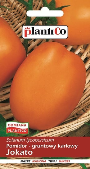 Pomidor gruntowy Jokato 0.5 g PLANTICO Inna marka