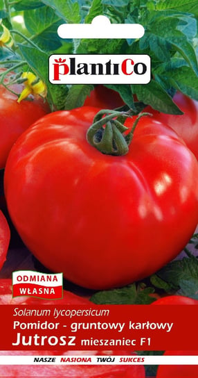Pomidor Gruntowy Jutrosz 0,5g PlantiCo PlantiCo