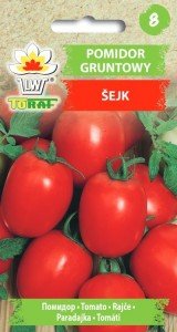 Pomidor  gruntowy karłowy ŠEJK - Szejk Solanum lycopersicum L. Toraf