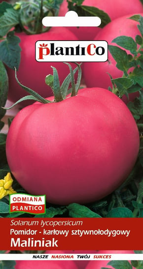 Pomidor Gruntowy Maliniak 0,5g PlantiCo PlantiCo