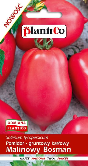 Pomidor Gruntowy Malinowy Bosman 0,5g PlantiCo PlantiCo