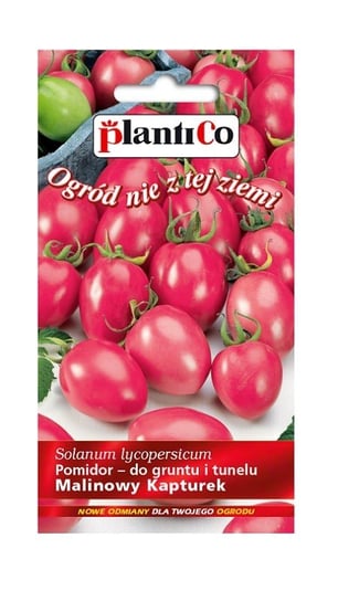 Pomidor gruntowy Malinowy Kapturek 0,2 g Plantico Inna marka