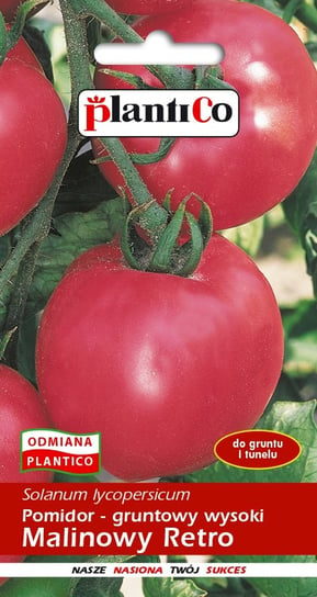 Pomidor Gruntowy Malinowy Retro 0,5g PlantiCo PlantiCo