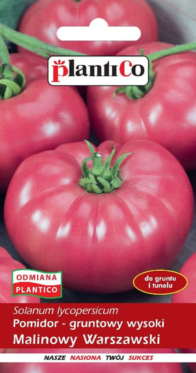 Pomidor Gruntowy Malinowy Warszawski 0,5g PlantiCo PlantiCo