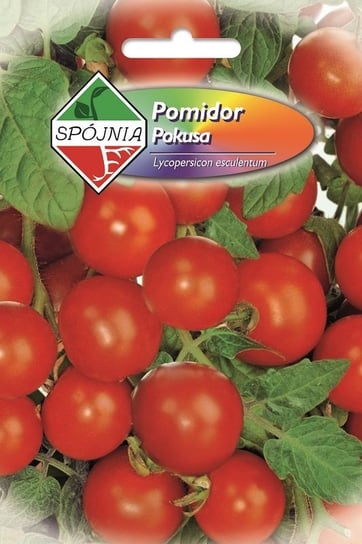 Pomidor gruntowy Pokusa 0.5 g Spójnia Inna marka