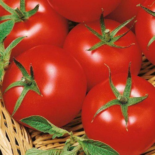 Pomidor Harzfeuer - Kiepenkerl KIEPENKERL