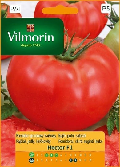 Pomidor Hektor F1 0.1 g VILMORIN Inna marka
