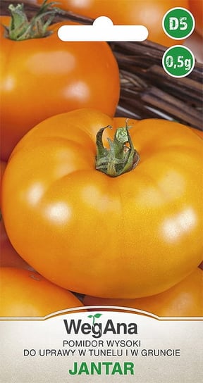 Pomidor Jantar 0,5g nasiona - WegAna WegAna
