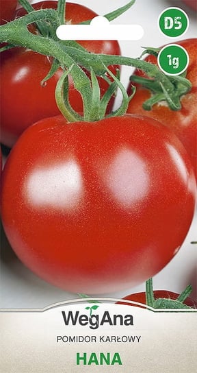 Pomidor karłowy Hana 1g nasiona - WegAna WegAna