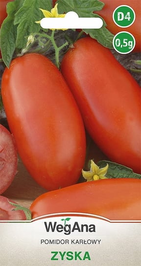 Pomidor karłowy Zyska 0,5g nasiona - WegAna WegAna