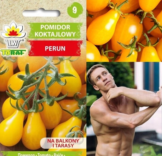 Pomidor koktajlowy PERUN (żółty o kształcie gruszki)
 Solanum lycopersicum L. Toraf
