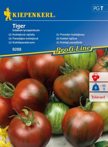 Pomidor koktajlowy Tiger Kiepenkerl KIEPENKERL