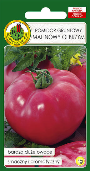 Pomidor Malinowy Duży Smaczny Nasiona Bez Gmo PNOS