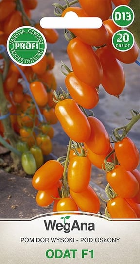 Pomidor Odat F1 20 nasion nasiona - WegAna WegAna