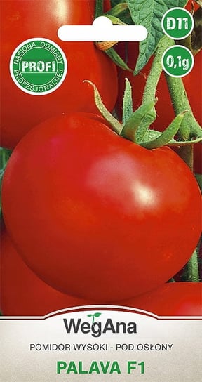 Pomidor Palava  F1 0,1g nasiona - WegAna WegAna