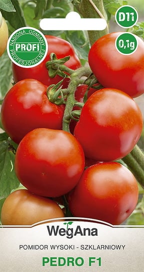 Pomidor Pedro mieszaniec (F1) 0,1g nasiona - WegAna WegAna