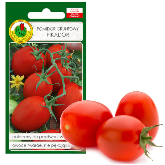 Pomidor Pikador Twardy Na Ketchup Nasiona Bez Gmo PNOS