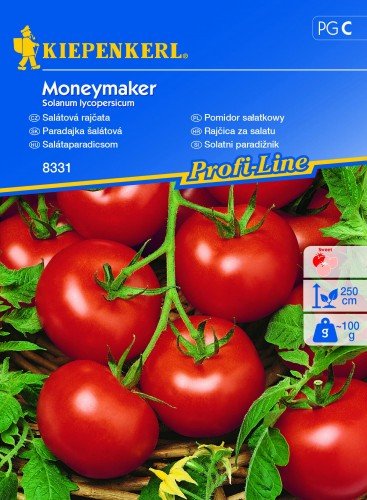 Pomidor Sałatkowy Moneymaker 8331 KIEPENKERL