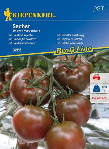 Pomidor sałatkowy Sacher F1 Solanum lycopersicum KIEPENKERL