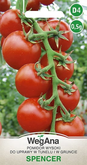 Pomidor Spencer 0,5g nasiona - WegAna WegAna