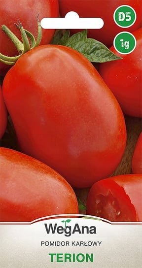 Pomidor Terion 1g nasiona - WegAna WegAna