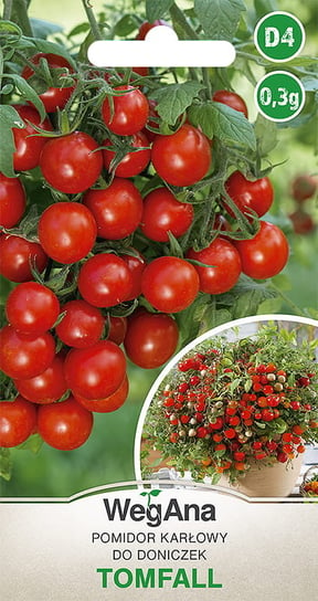 Pomidor Tomfal 0,3g nasiona - WegAna WegAna