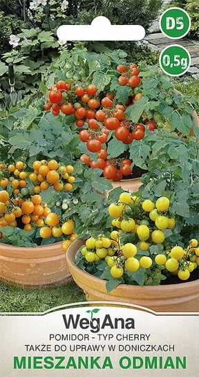 Pomidor typ Cherry mieszanka odmian 0,5g nasiona - WegAna WegAna