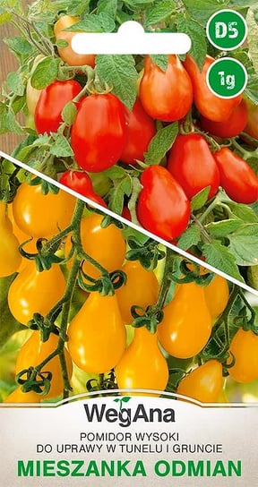Pomidor wysoki do tunelu i gruntu mieszanka odmian typu cherry o owocach w kształcie gruszki 1g nasiona - WegAna WegAna