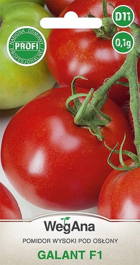 Pomidor wysoki Galant F1 0,1g nasiona - WegAna WegAna