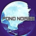 Pond Noises Steve Sheera