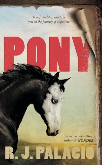 Pony Palacio R. J.