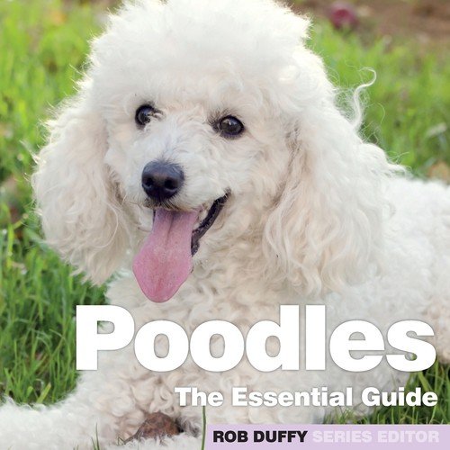 Poodles BXPLANS.LTD