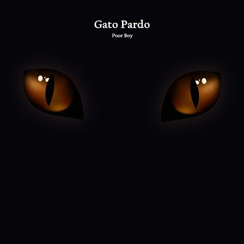 Poor Boy Gato Pardo
