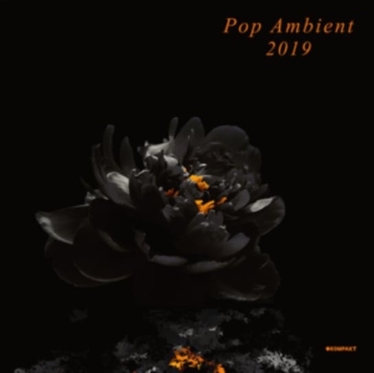Pop Ambient 2019 Various Artists