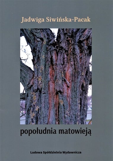 Popołudnia matowieją Siwińska-Pacak Jadwiga