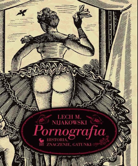 Pornografia. Historia, znaczenie, gatunki Nijakowski Lech M.