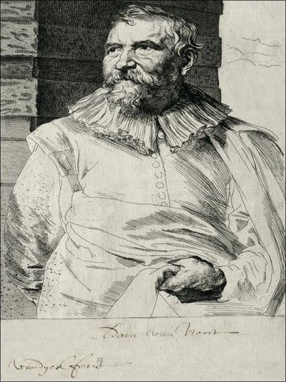 Portrait of Adam van Noort, Anthony van Dyck - pla / AAALOE Inna marka