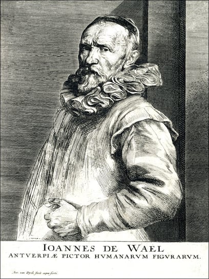 Portrait of Jan de Wael Nevers, Anthony van Dyck - / AAALOE Inna marka