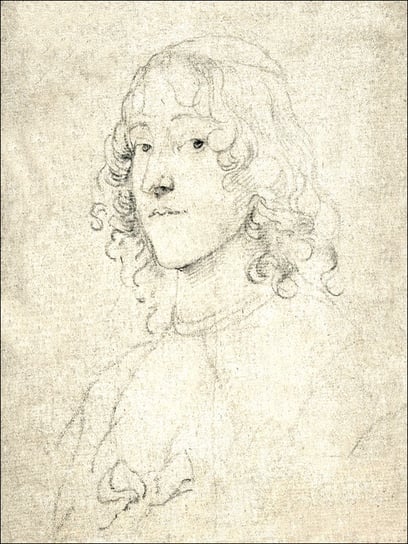 Portrait Study, Anthony van Dyck - plakat 40x50 cm / AAALOE Inna marka