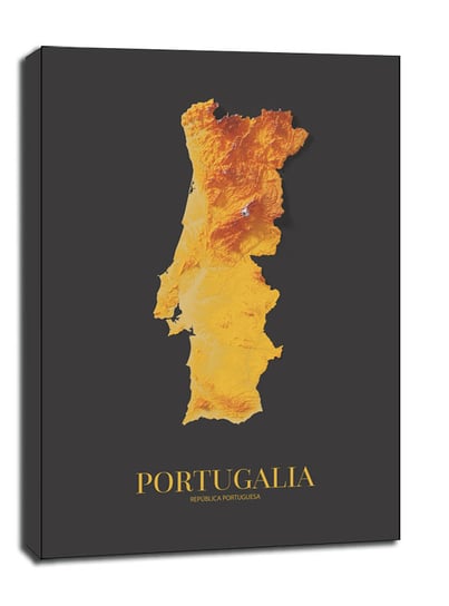 Portugalia mapa złota - obraz na płótnie 90x120 cm / AAALOE Inna marka