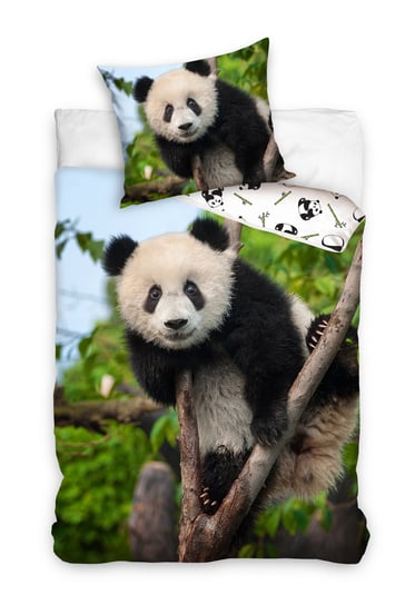 Pościel młodzieżowa z bawełny Renforce, Panda, 160x200 + 70x80 cm Carbotex