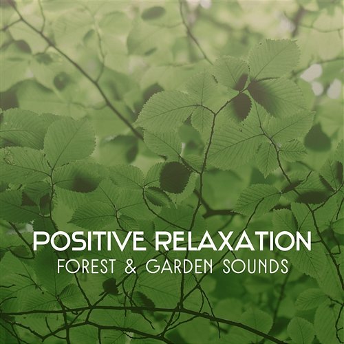 Positive Relaxation – Forest & Garden Sounds, Birds Singing, Natural Music for Deep Meditation Mothers Nature Music Academy