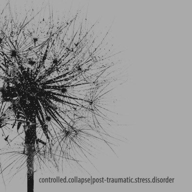 Post-Traumatic.Stress.Disorder Controlled Collapse