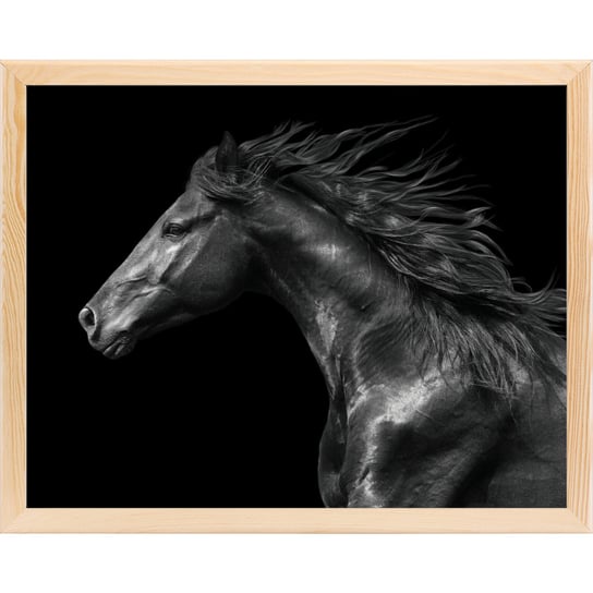 Poster, konie, 40x50 cm Art-Canvas